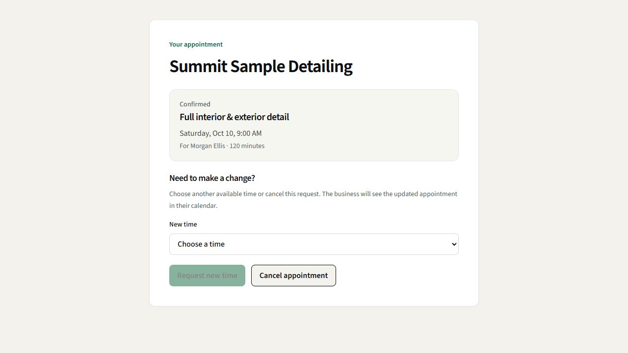 A sample appointment's customer management page in DetailMetrik.